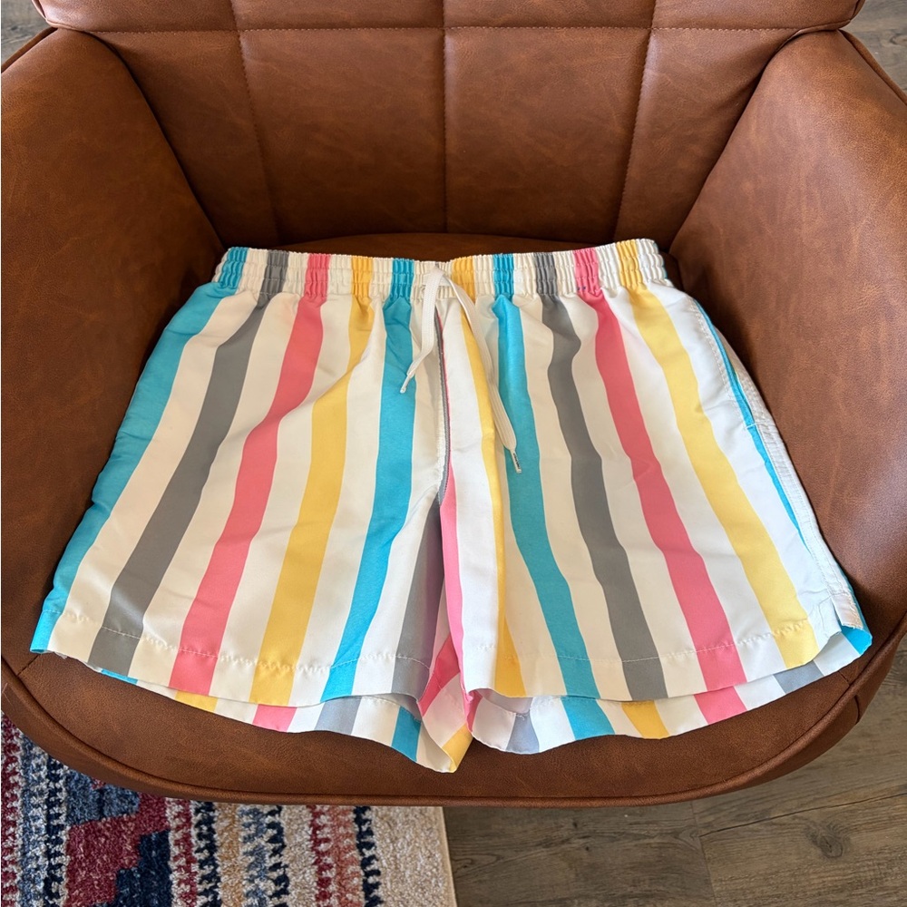 Chubbies Retro Swim Trunks Medium